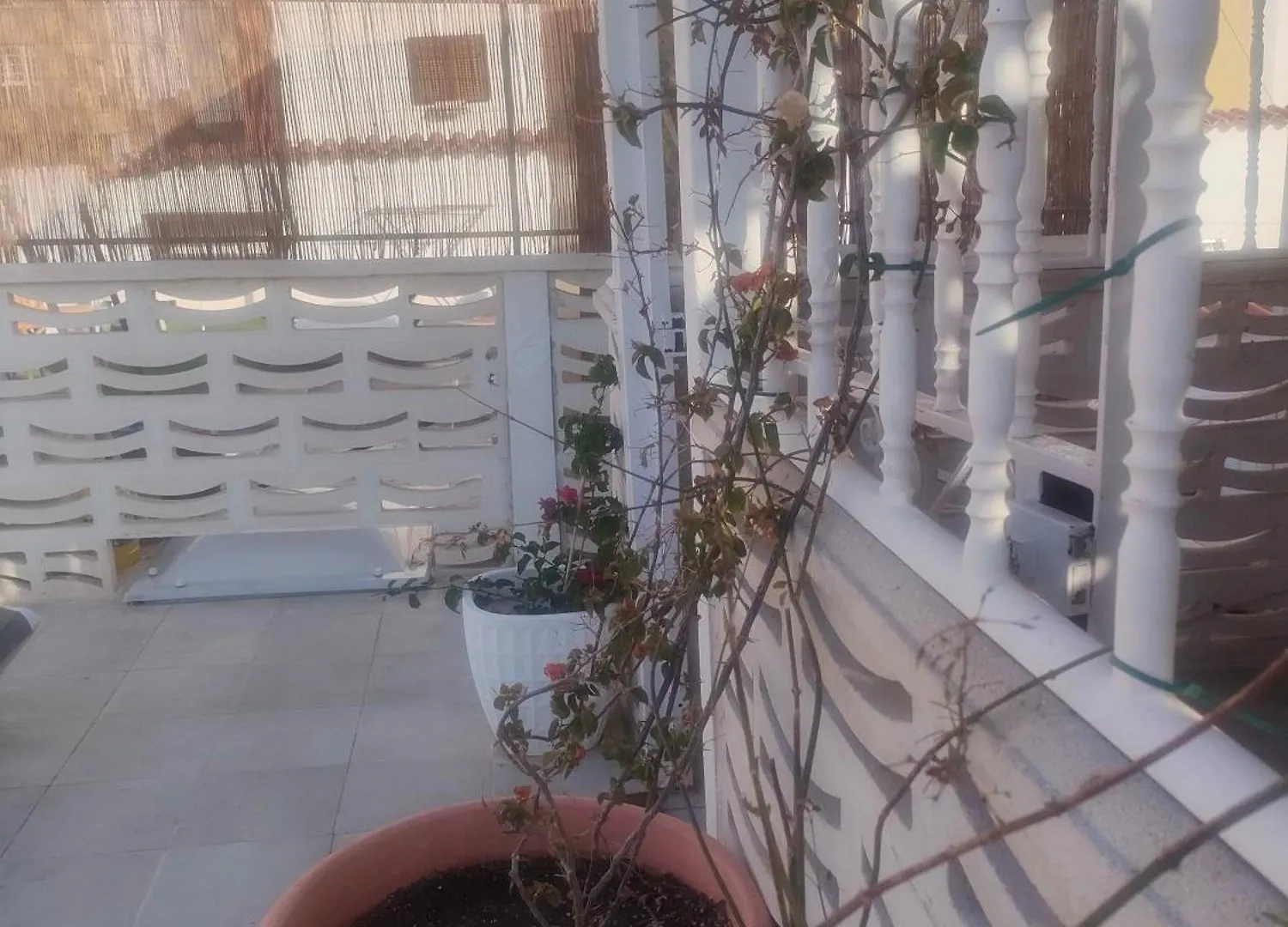Alba 2 Apartamento Y Alba 3 Habitacion Con Bano 푸에르토델로사리오